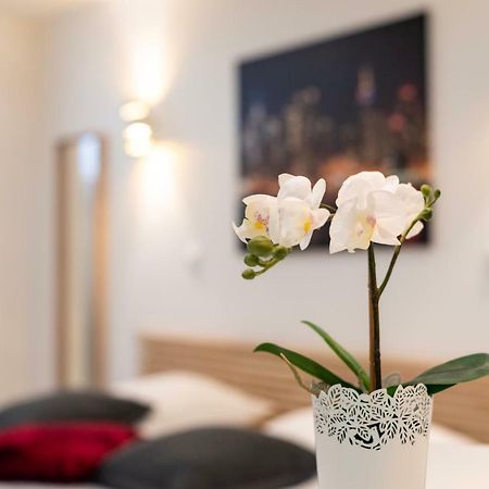 Citycosy Strasbourg - Studio Hirtz Orangerie Luaran gambar