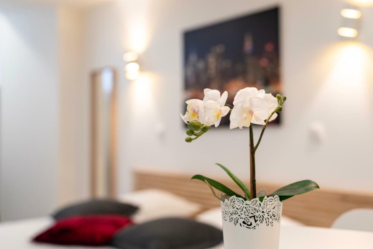 Citycosy Strasbourg - Studio Hirtz Orangerie Luaran gambar